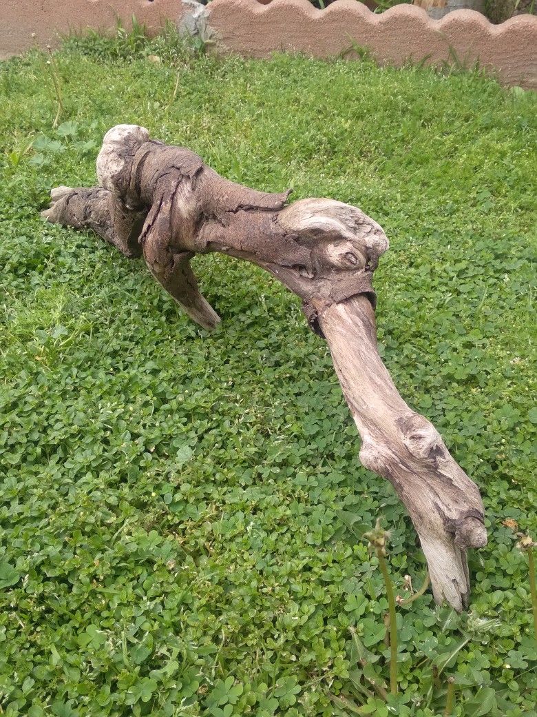Genuine Driftwood For Aquariums Terrariums Etc. 