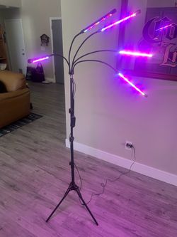 Spectrum LED light