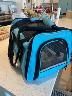 Airline-Approved Dog & Cat Carrier Bag, 17-in