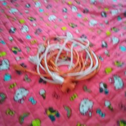 Extension Cord 