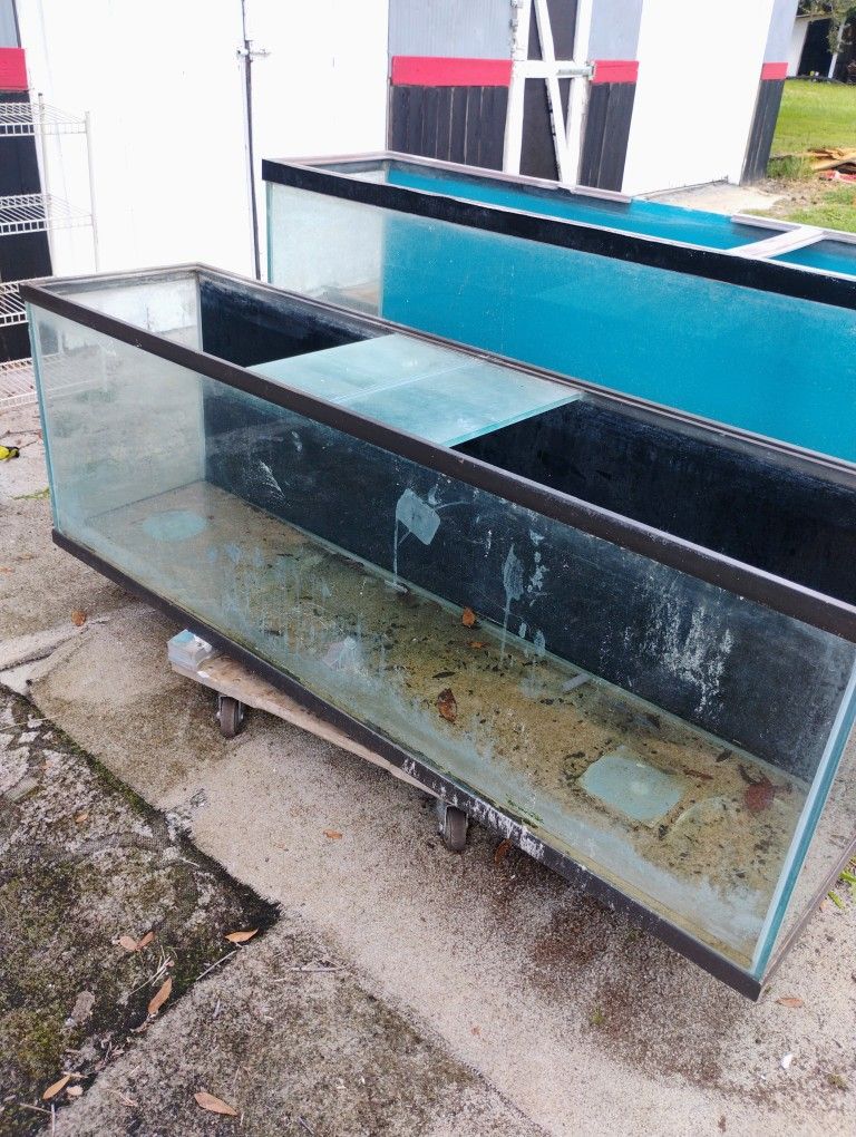 Fish Tank 165 G