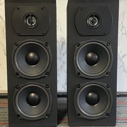 New Custom 4.5” MMT Speakers 