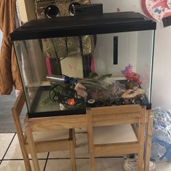Fish Tank 20 Gallons 