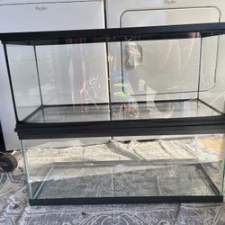 20 Gallon Tank (3 Available)