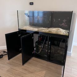 Aquarium Maintenance 