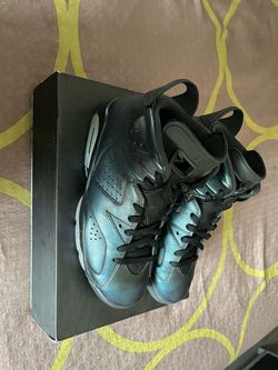 Jordan 6 (Chameleon) Size 9