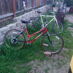 Murray women's hotsell mountain bike