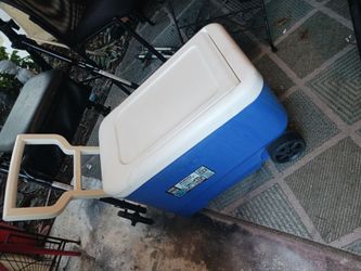 4 CLEAN ALL LIKE NEW IGLO COOLERS 10 EACH BUY 2 OR MORE LOOK MY POST ALOT ITEM TO SEE