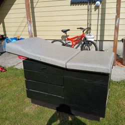 Medical/Tattoo/Piercing/Massage Table W/Plug Ins