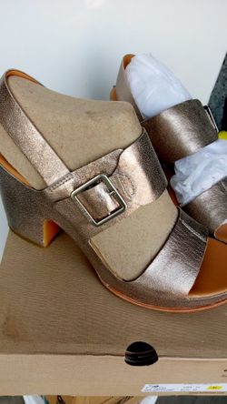 Shoes Brand New,Size 10