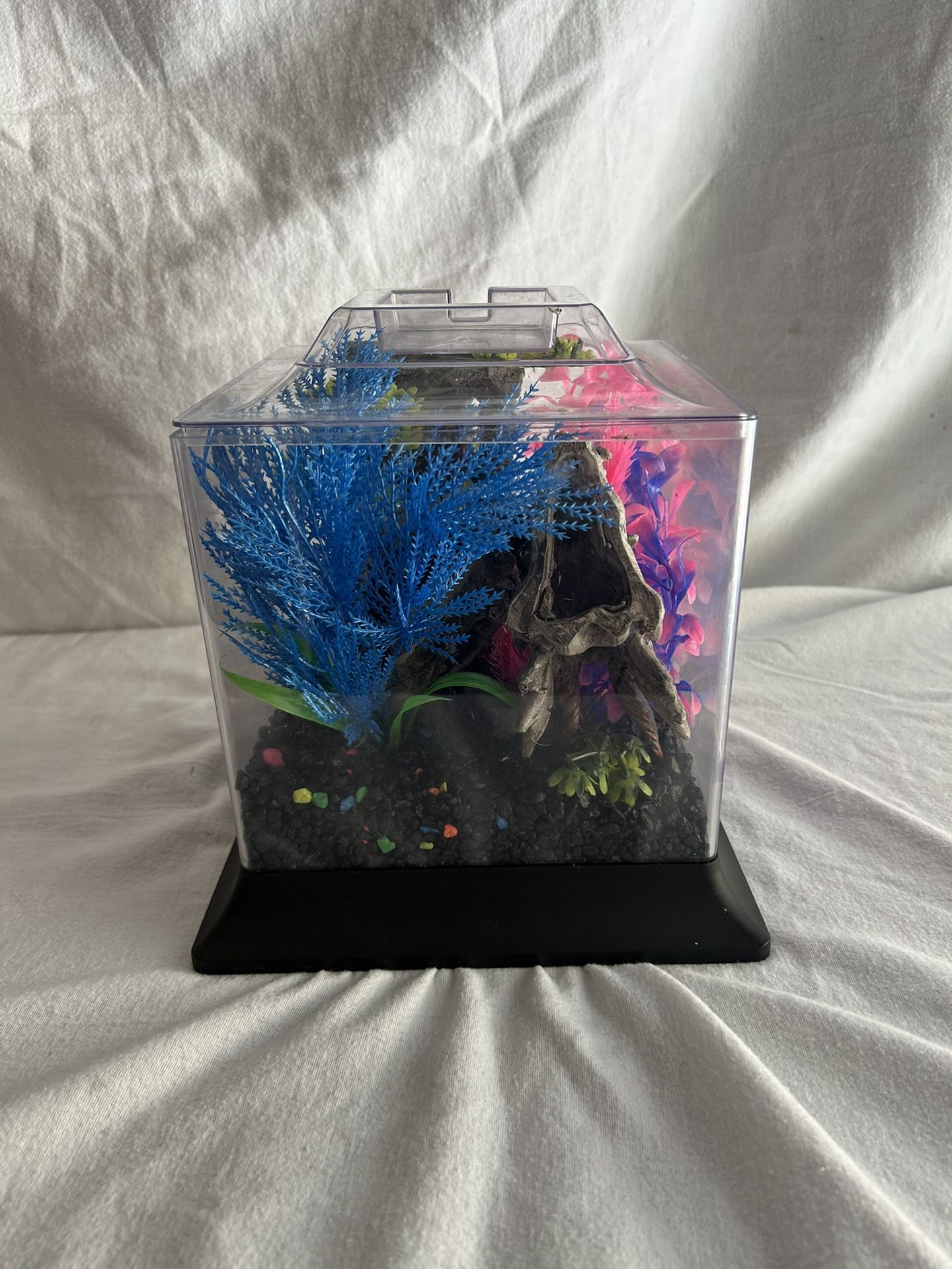 Betta Fish Tank