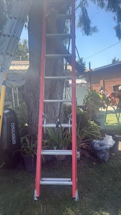Werner Ladder