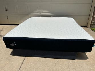 Cocoon By Sealy King Just The Mattress