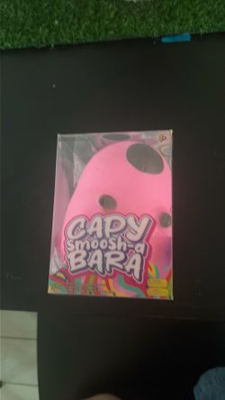 capybara pink squishy