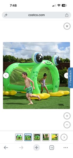 Froggy fun Inflatable sprinkelr tunnel
