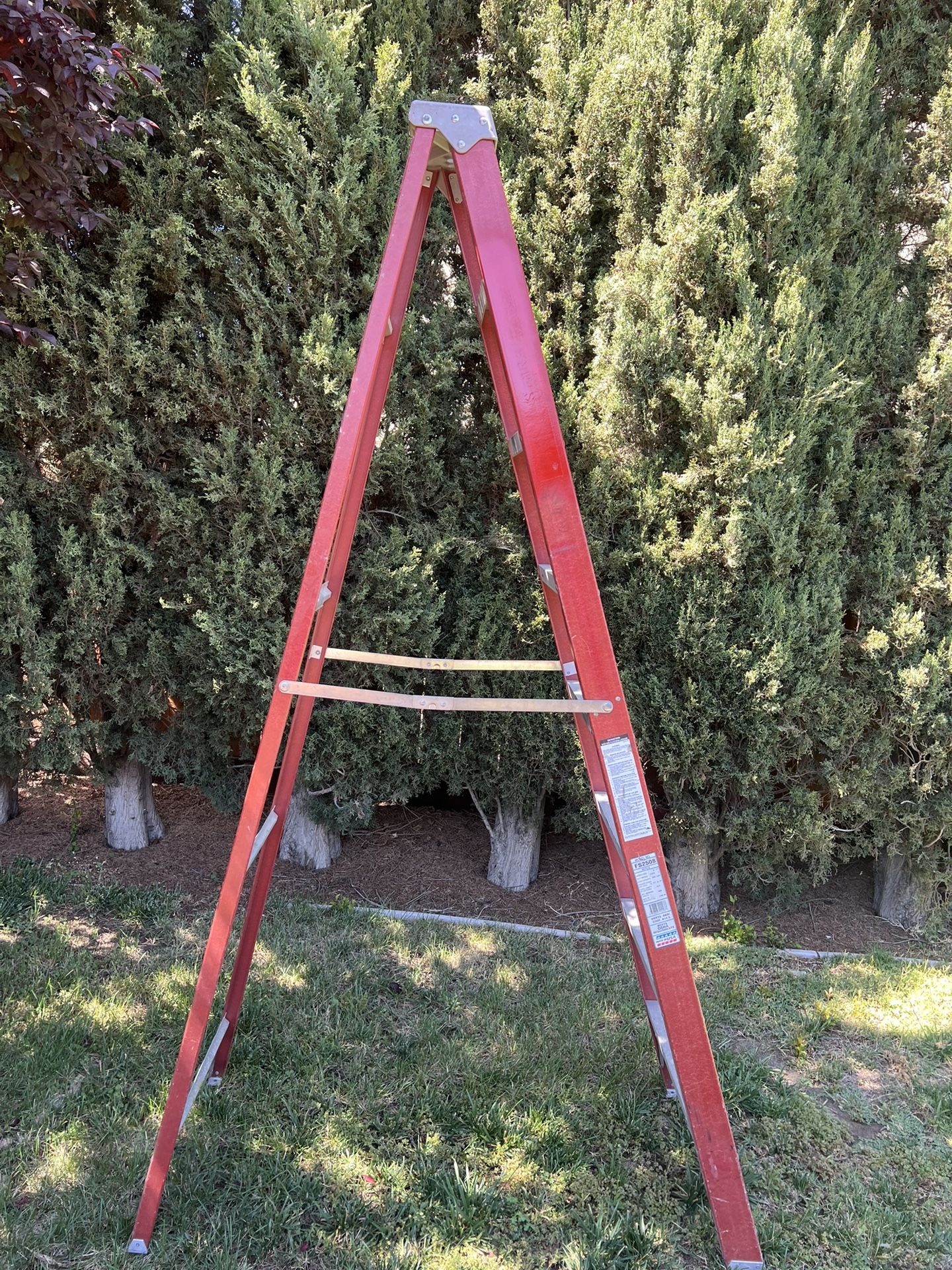 8’ Ladder