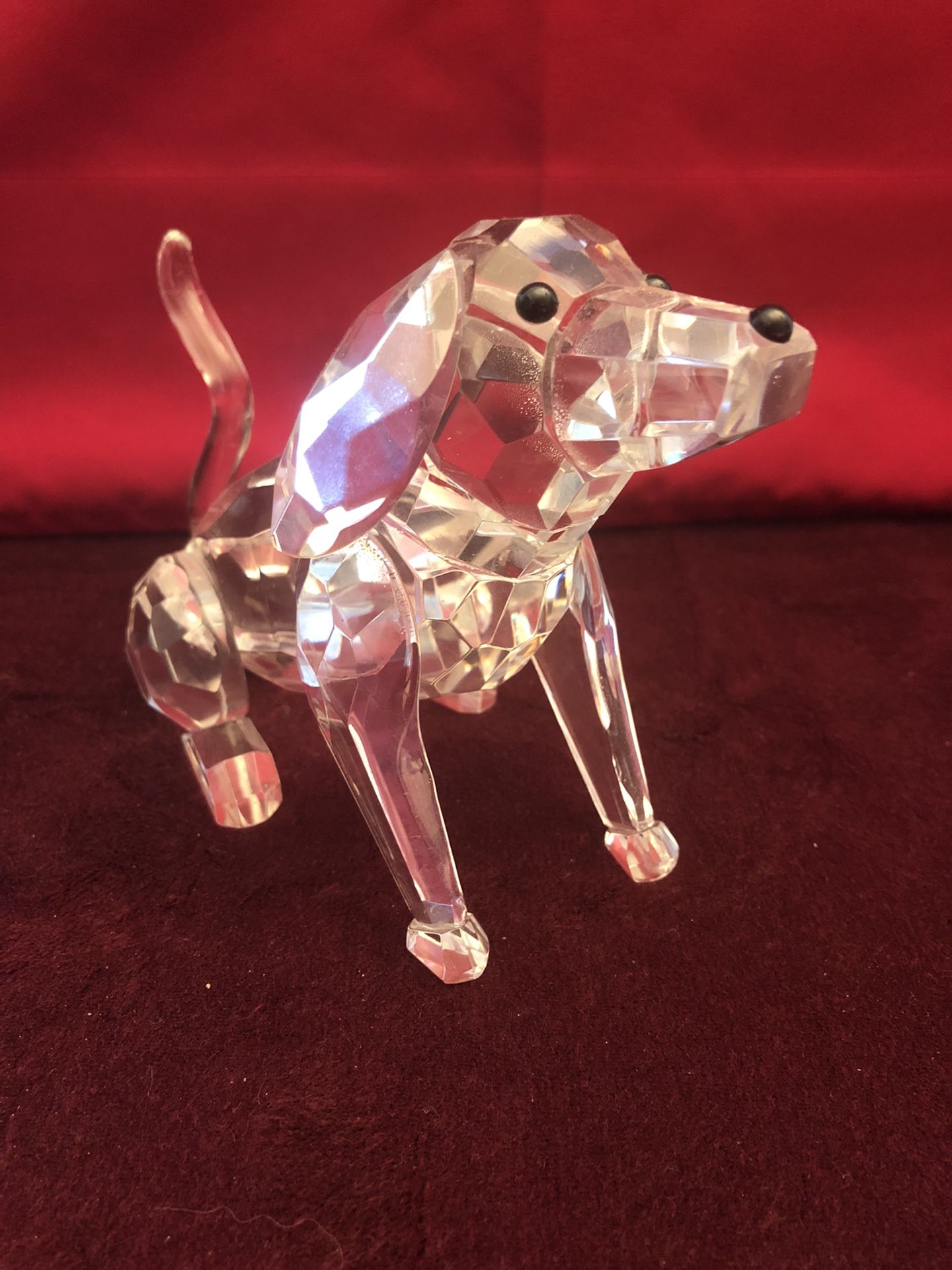 Shannon crystal dog for Sale in Pembroke Pines, FL OfferUp