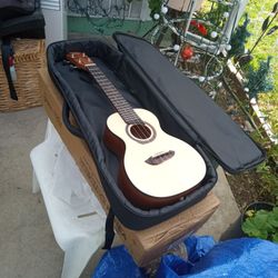 Bran New Gopher Wood Small Guitar With It's Carrying Case And Box