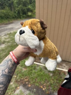 Bulldog Webkinz