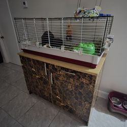 Guinea Pig Setup