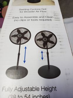 Fan