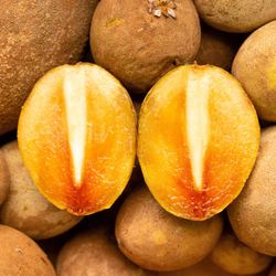 Sapodilla Trees