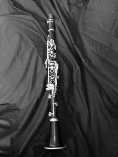 Clarinet With Case