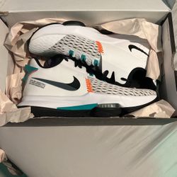 LeBron Shoes Men’s 12