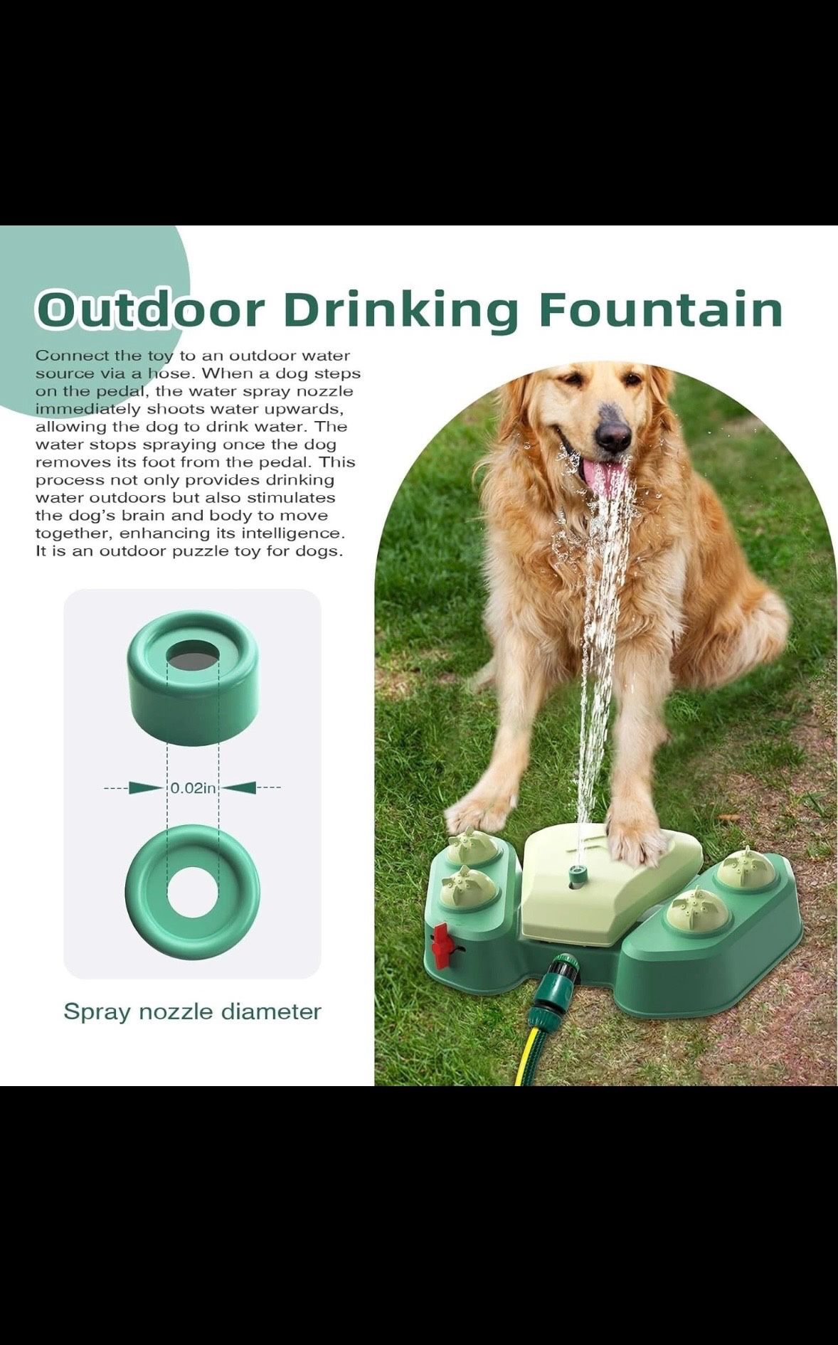 doggy water fountain 
