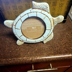 Turtle Frame 