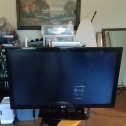 LG  Large TV $100