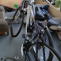 Trek And Giant Bikes