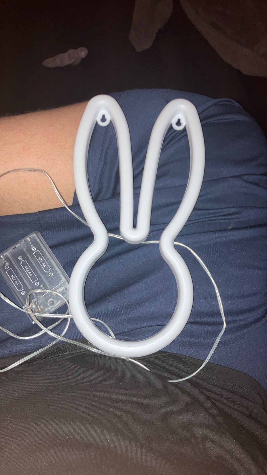 bunny light