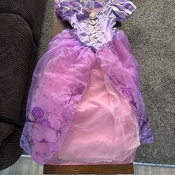 Rapunzul Disney Costume