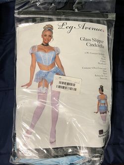 Fashion Nova Cinderella Costume