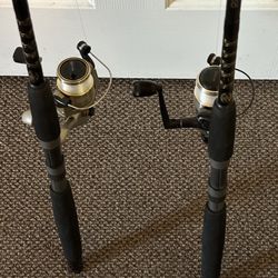 Two Rods With Reels 