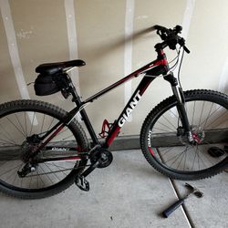Giant 29er Hard Tail