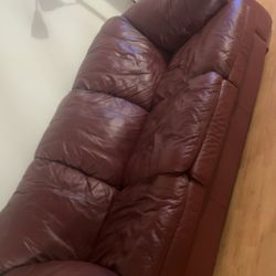 Leather Couches (Pull Out Queen Size Bed)