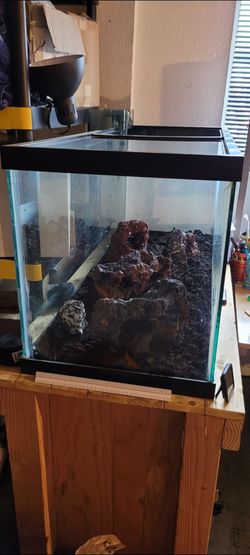 75gal aquarium