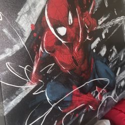 Kids Spider-Man Wall Decoration Paid 34.99 Plus Tax