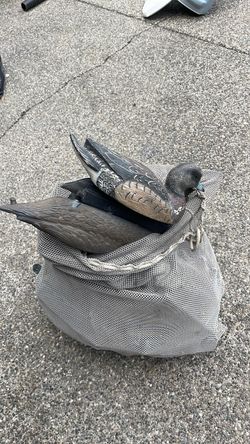 Duck decoys