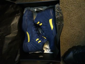 Michigan 12s