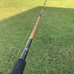 Deep Sea Fishing Rod And Reel for Sale in Oceanside, CA - OfferUp