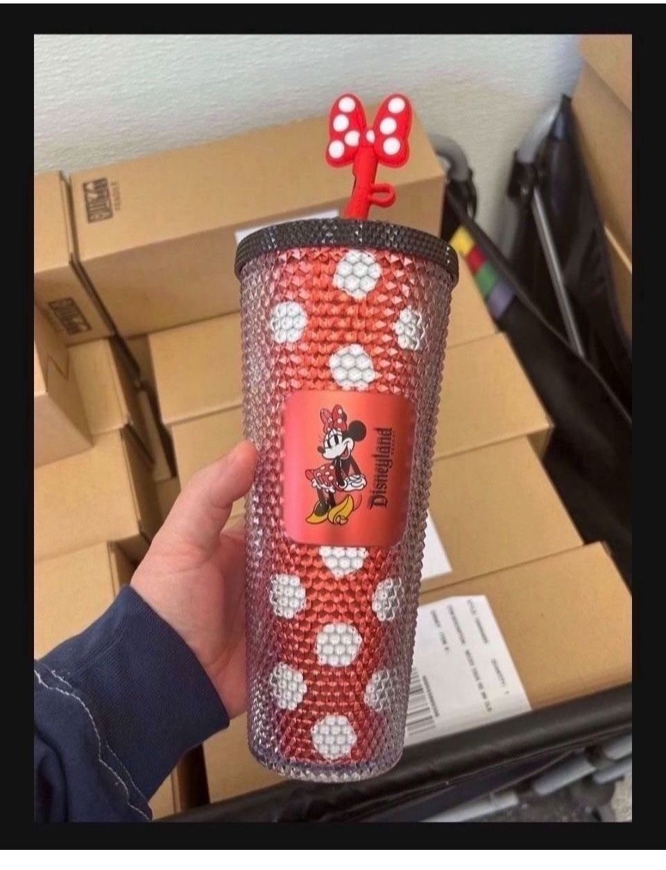 Disney x starbucks new
