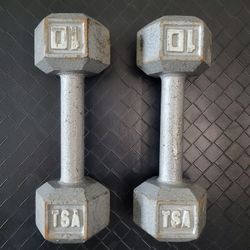 Dumbbells (10lbs Pair)