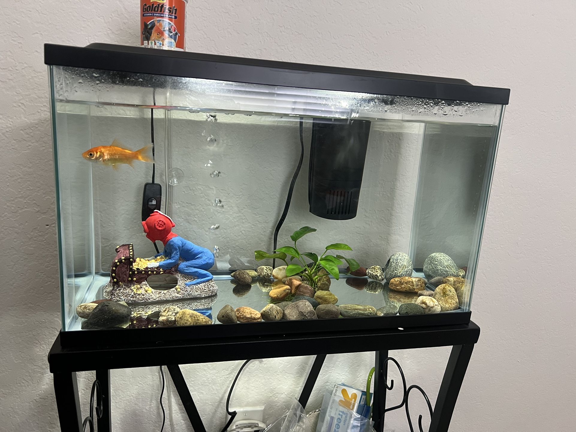 10gal Fish Tank and Accessories