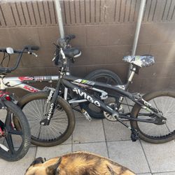 Bikes Schwinn BMX $50 Each