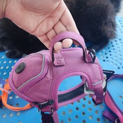 Small Dog harness/Ultra Durable Kong