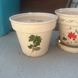 Plant Pots 