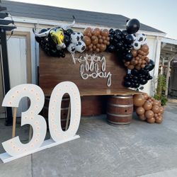 Ballon Garland and Backdrops
